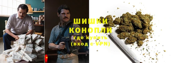 дживик Надым