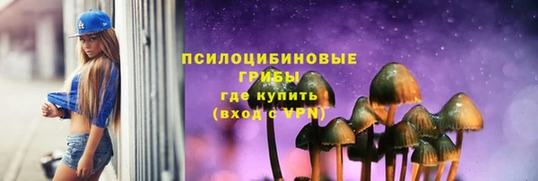 дживик Надым