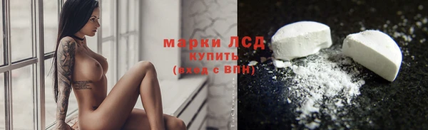 дживик Надым