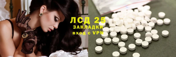 дживик Надым
