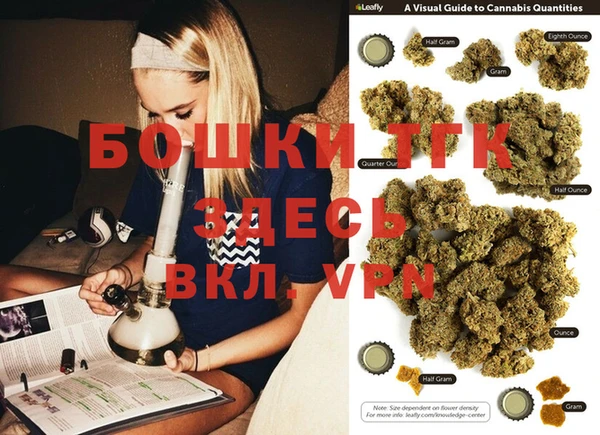 дживик Надым