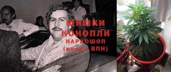дживик Надым