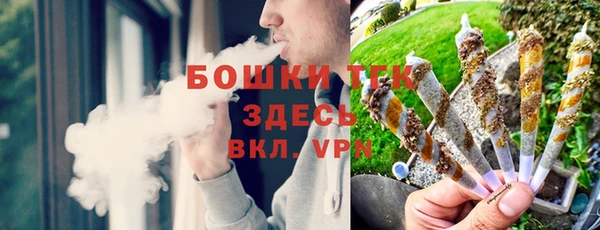дживик Надым