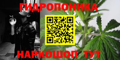 бошки Новозыбков