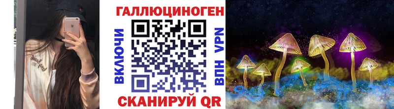 где можно купить Ртищево Галлюциногенные грибы прущие грибы