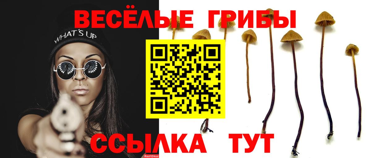 Ртищево  Псилоцибиновые грибы Psilocybine cubensis  Вход с VPN 